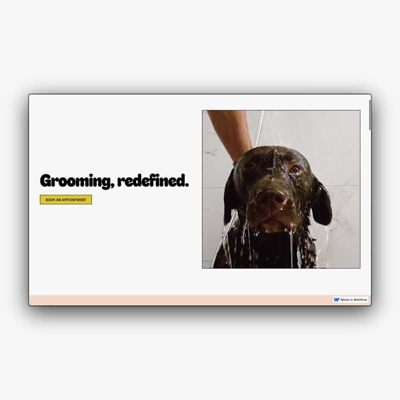 Cover image for Hello Glossy Paws! Glossy Paws is a friendly and trustworthy...