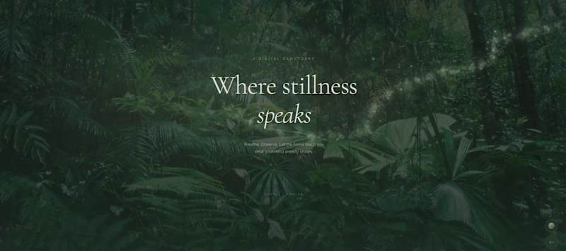 Cover image for I’m genuinely glad I had