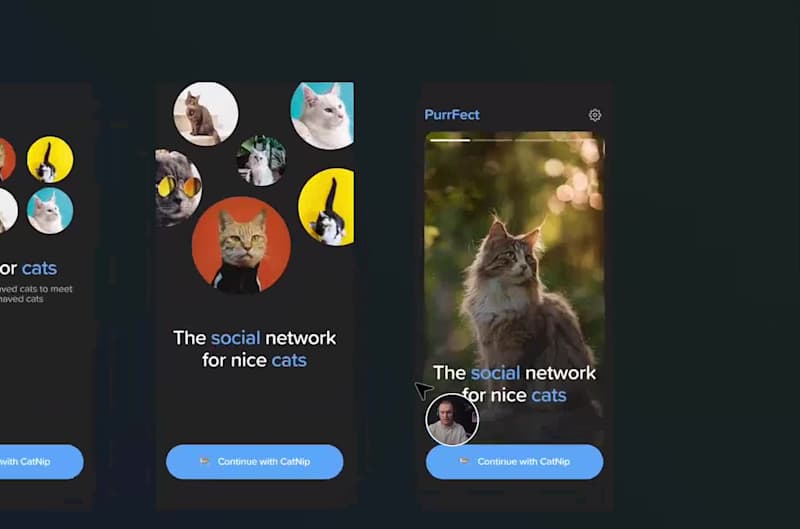 Cover image for Inflight Design-Feedback Platform Development
