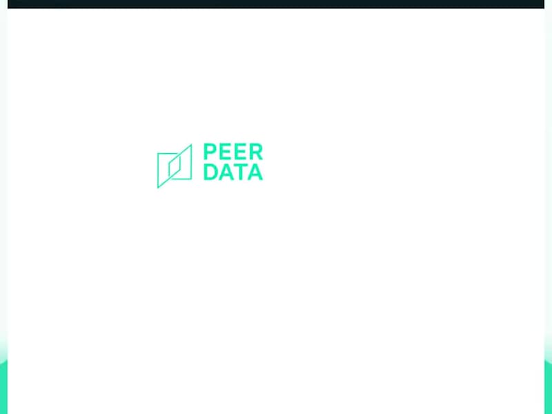 Cover image for PEERDATA: Where Digital Transformation Meets Business Innovation