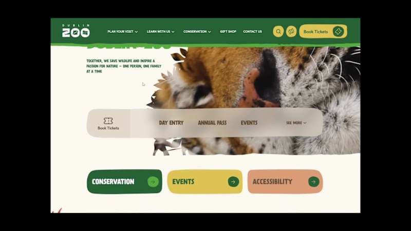 Cover image for New project launch! 🦁🐘✨
I recently