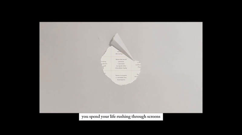 Cover image for I built a website where