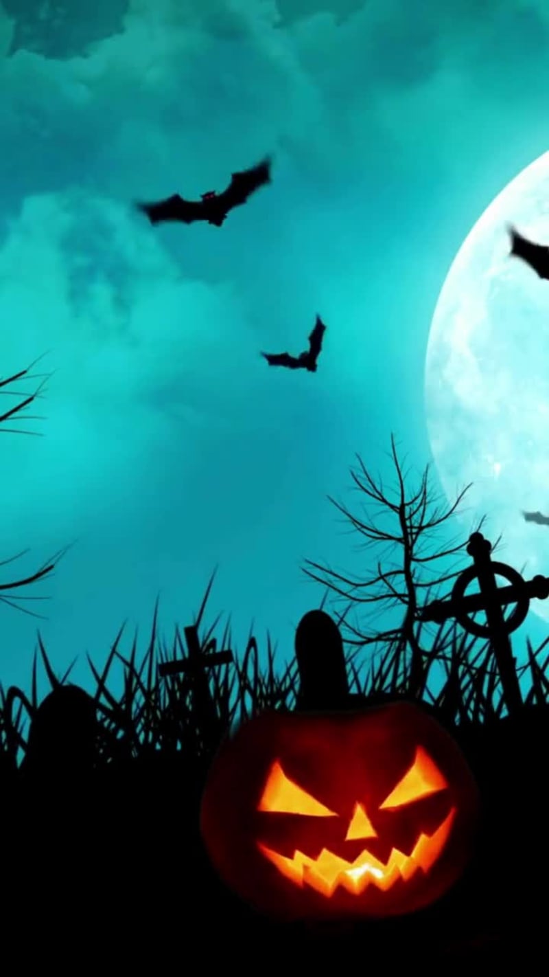 Cover image for Video de muestra realizado para una academia de danza en cel...