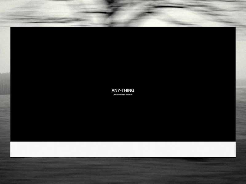 Cover image for Anything: Fashion Photography