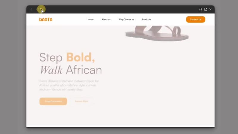 Cover image for Landing page  for African