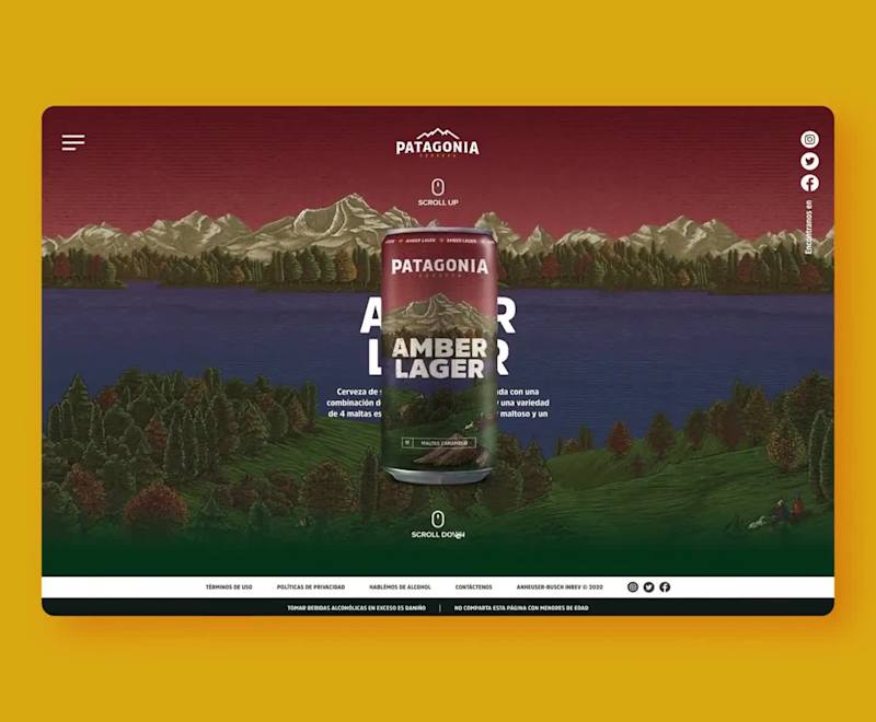 Cover image for Patagonia: Concept Web Design