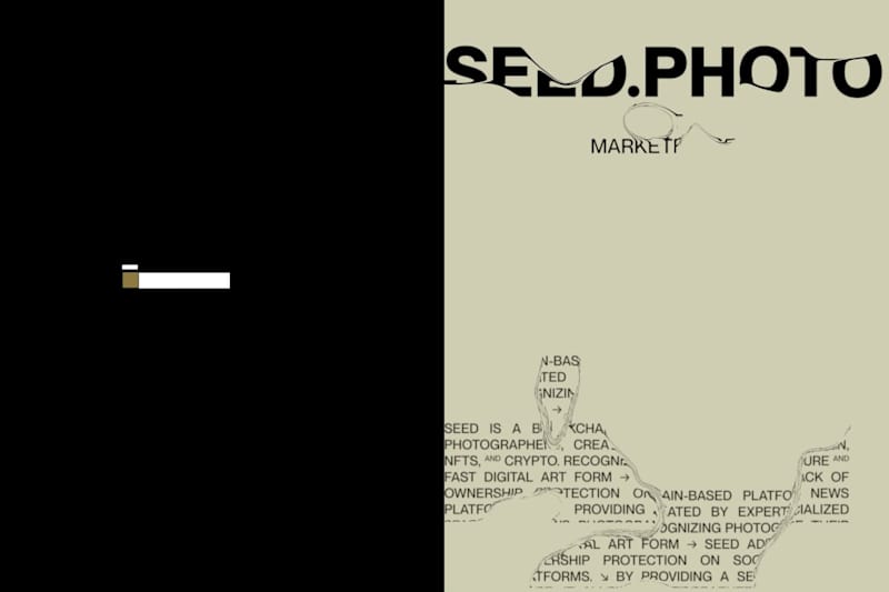 Cover image for Seed — Rebranding for the First NFT Photography Marketplace
