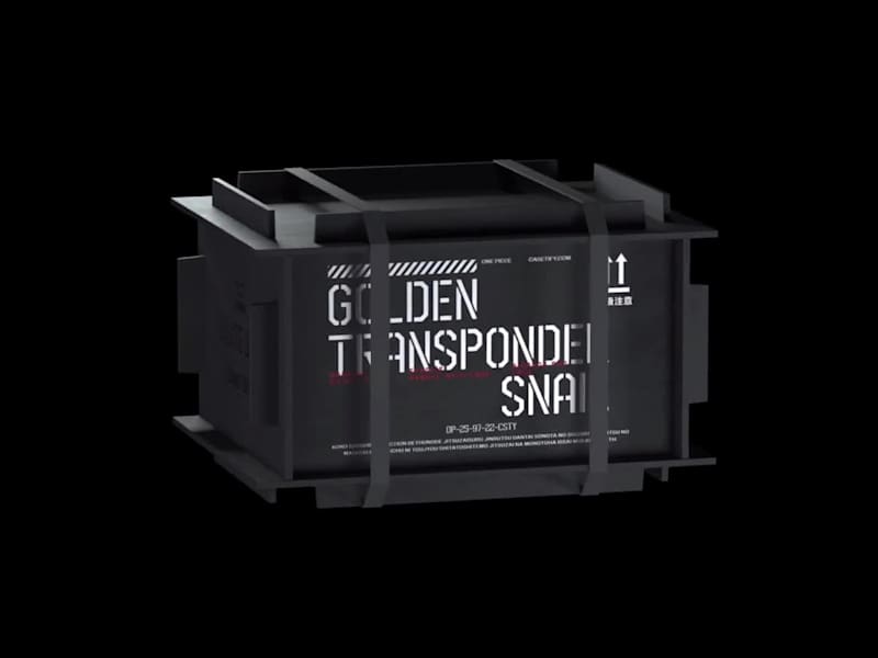 Cover image for Pirate Treasure-Inspired Packaging Design