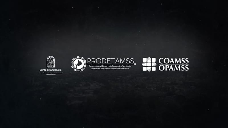 Cover image for Video: Achievements of the Mayor's