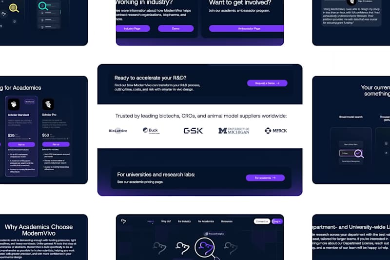 Cover image for ModernVivo Website Design and Development