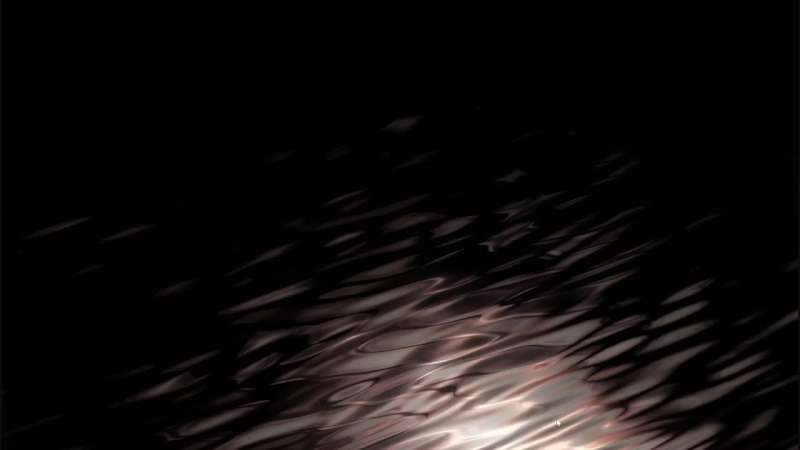 Cover image for Master the Art of Website Interaction with Stunning Tracking