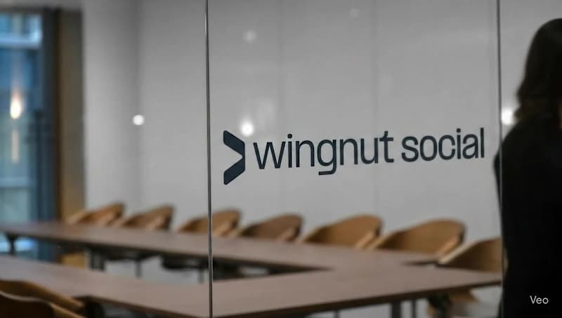 Cover image for Wingnut • Rebrand & Pitch Deck