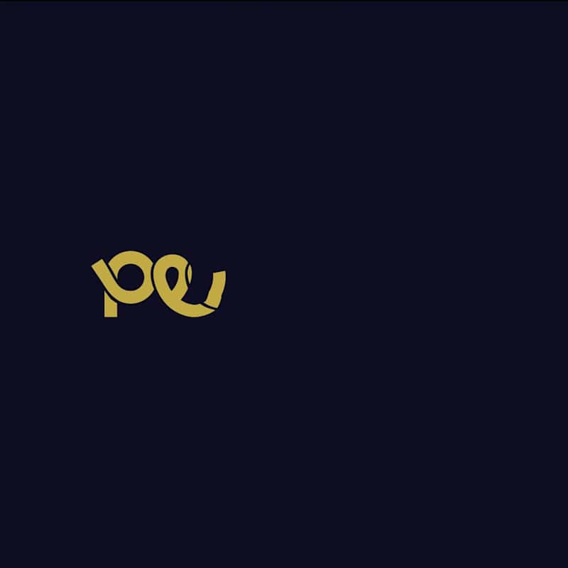 Cover image for Motion for Peerplay brand identity.