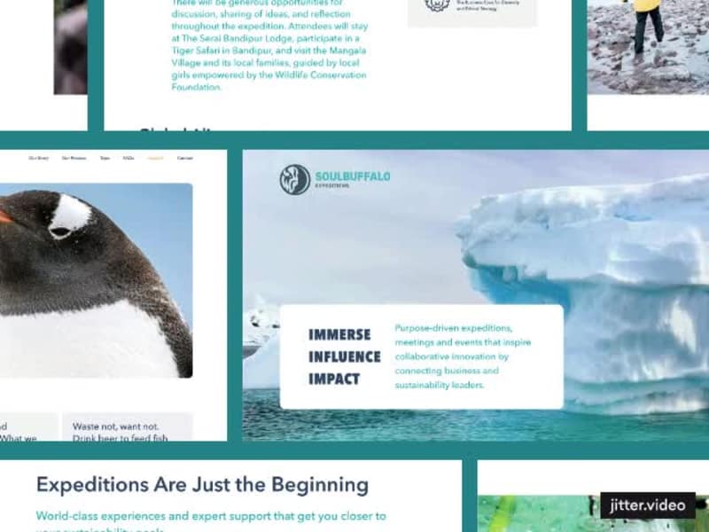 Cover image for Experimenting with using Jitter for website presentations. T...