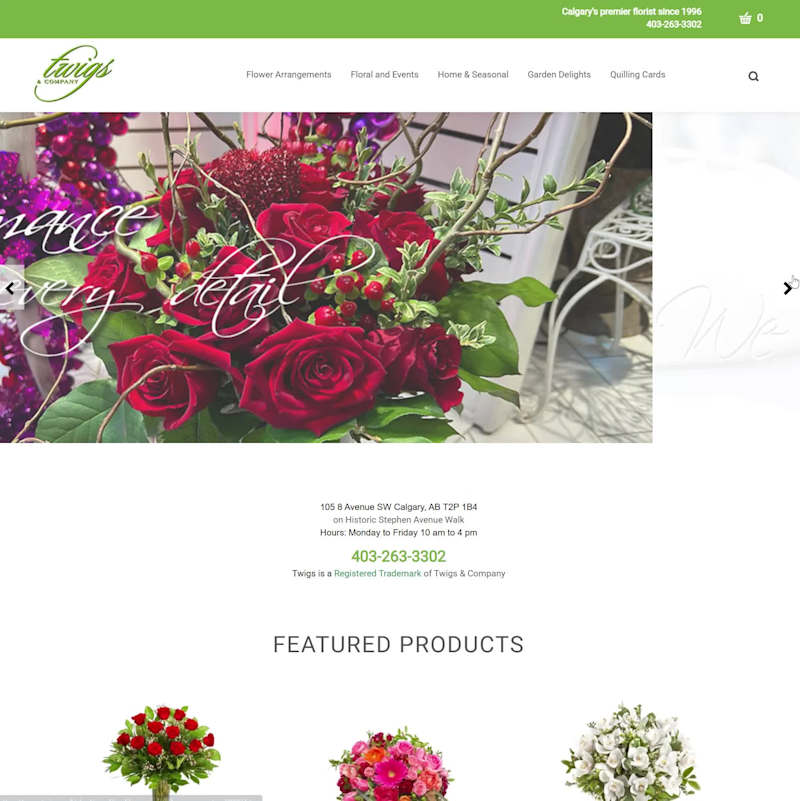Cover image for Twigs Website (Webflow E-commerce)
I designed