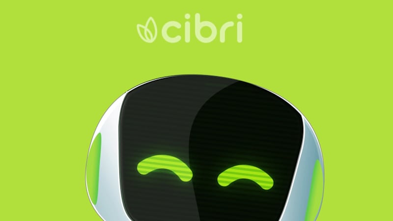 Cover image for Cibri - Virtual Mascot for