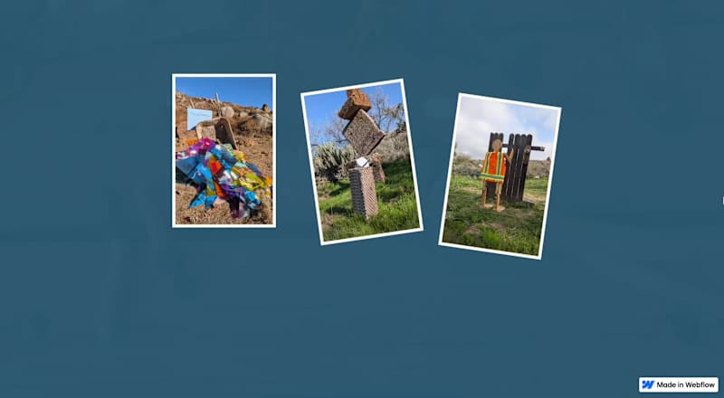 Cover image for Just wanted to share one