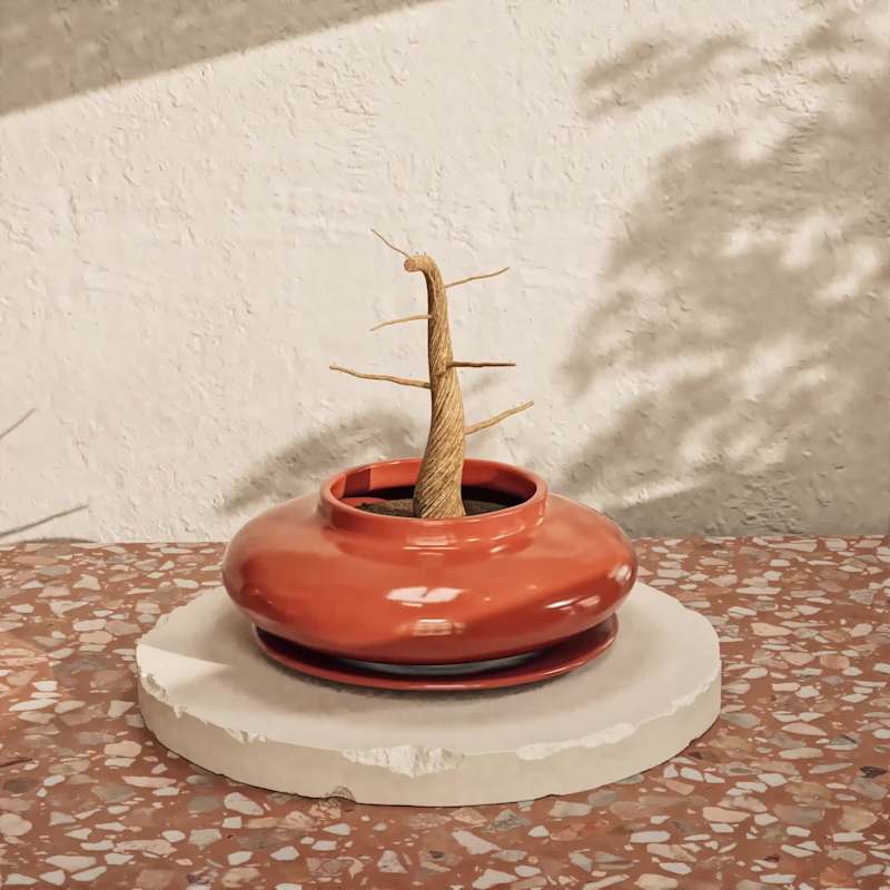 Cover image for Harmonious Growth as 3D Bonsai