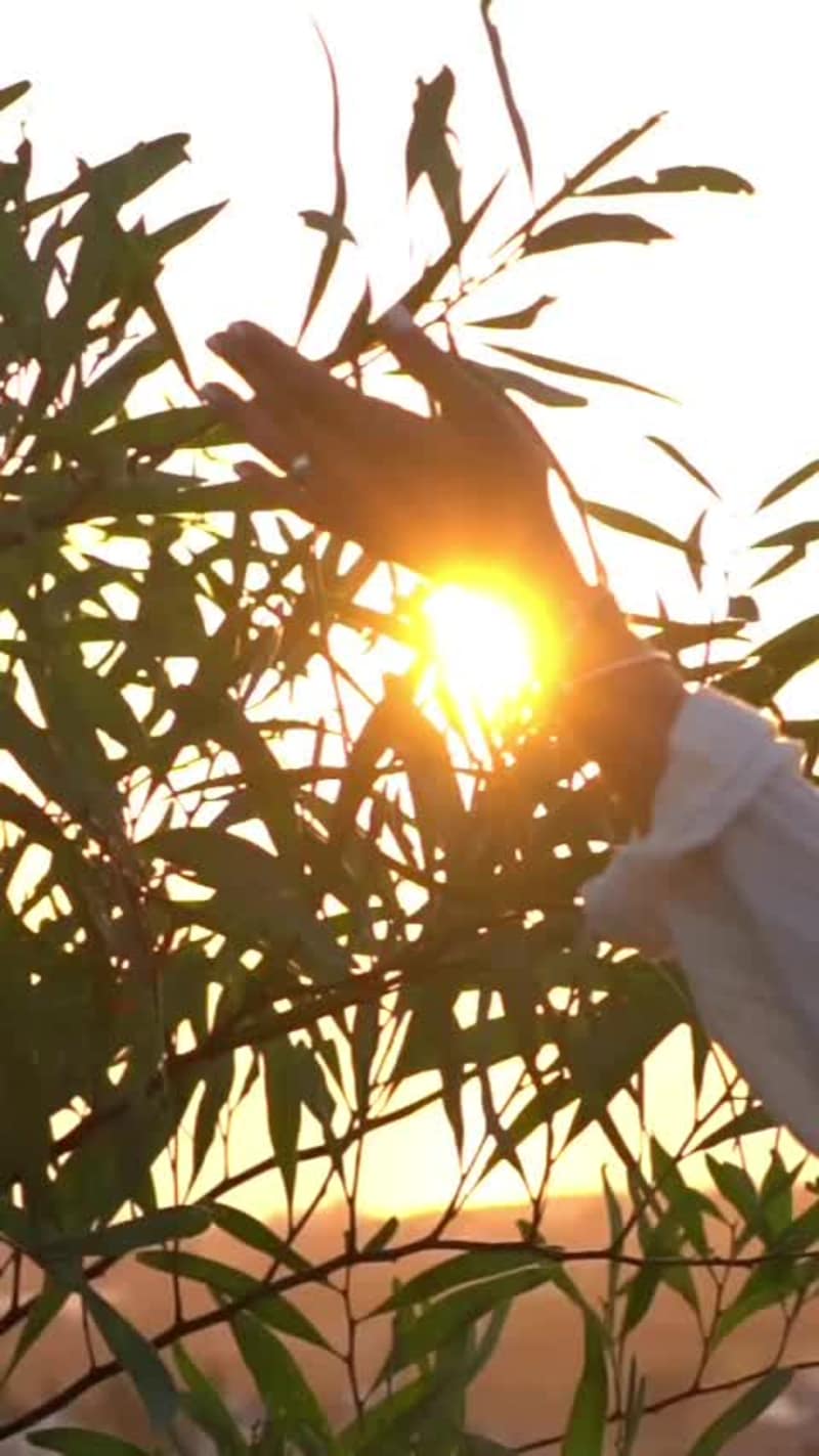 Cover image for Golden Hour Vibes | Lifestyle Reel A sunset reel I filmed an...