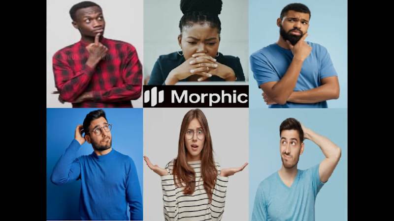 Cover image for Morphic stands out by offering