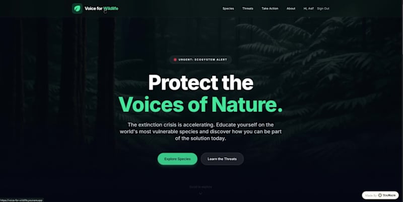 Cover image for This is Voice for Wildlife because most of us don’t know whi...