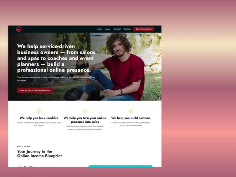 Cover image for Digital Branding and Systems Integration for Dontriant