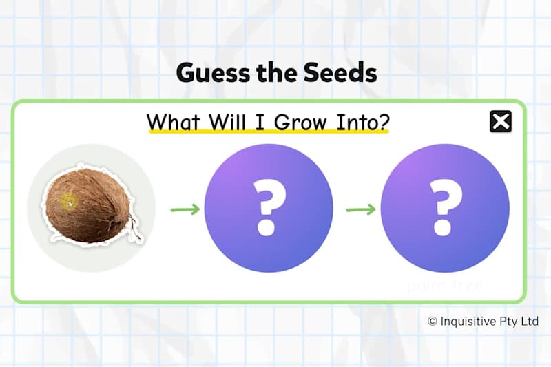 Cover image for Interactive Science Lesson for Kids: Guess the Seeds