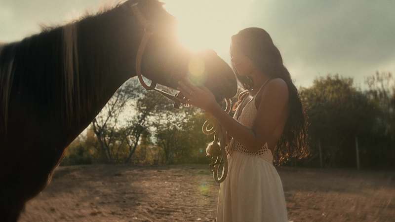 Cover image for Country Film