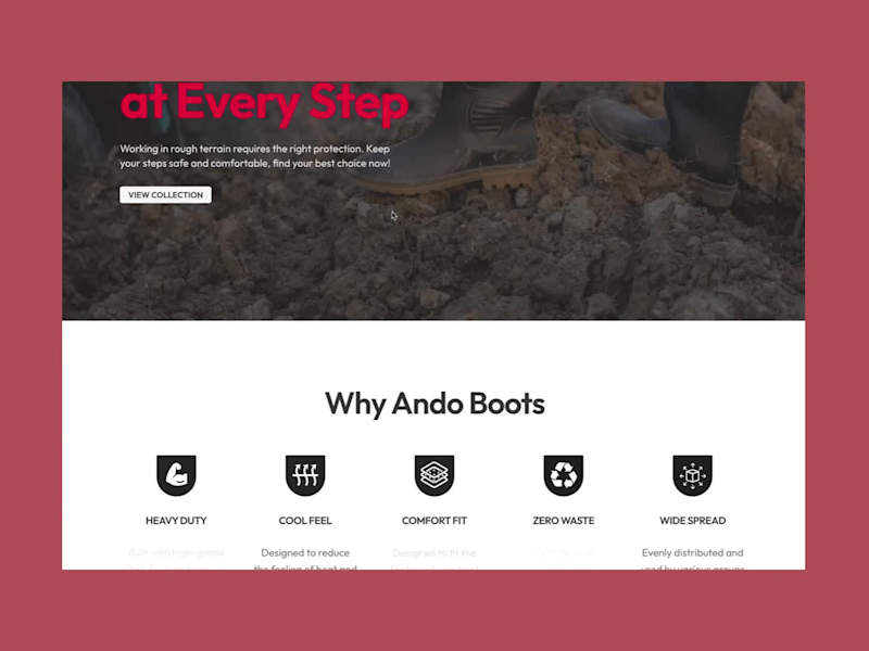 Cover image for Website Design and Development