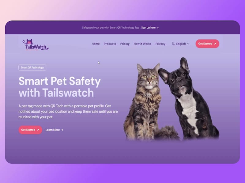 Cover image for Created the Platform Tailswatch (WIP). From Branding to Whol...