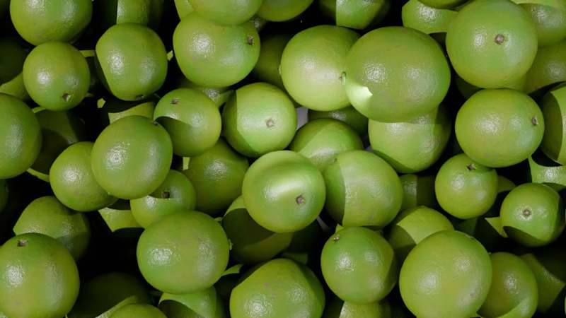 Cover image for Designed as a high-impact digital