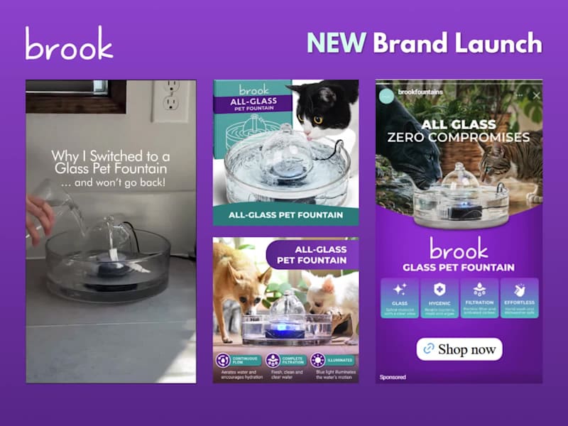 Cover image for Brook – Profitable Pet Brand Launch With Ads + Email
