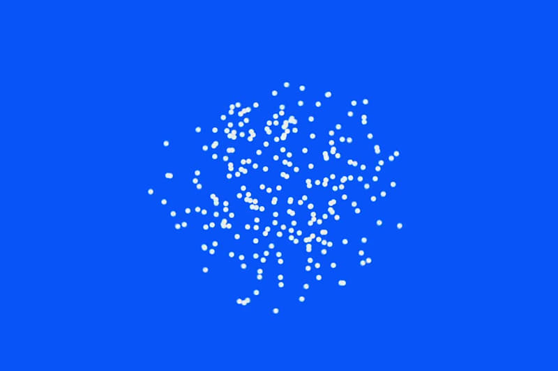 Cover image for Flosse Works — Software Engineer Branding