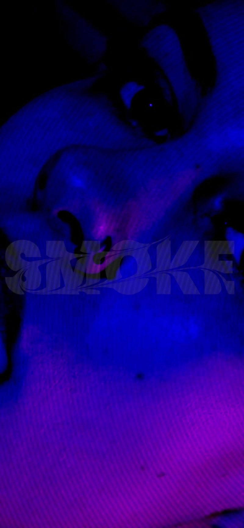 Cover image for Promotional Reel for House Music Event - SMOKE