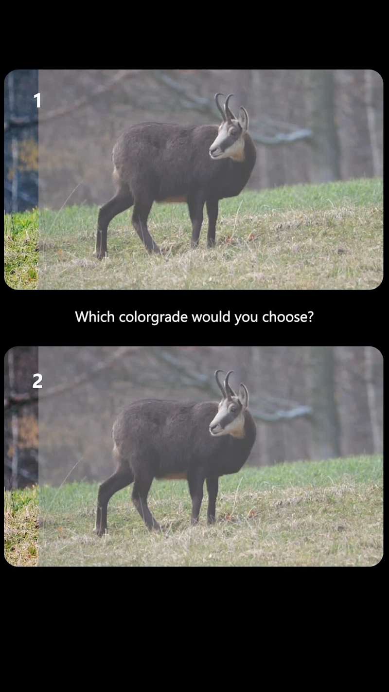 Cover image for Which option are you leaning