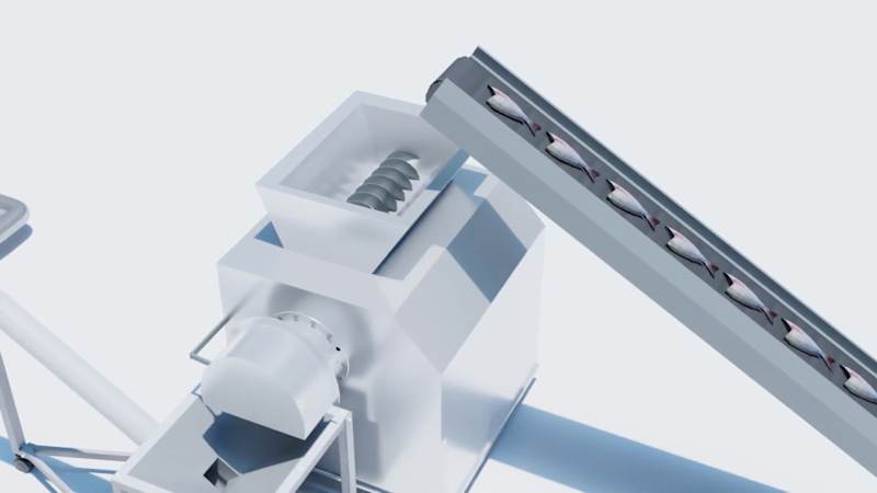 Cover image for 3D fishering animation project. We create animation videos f...