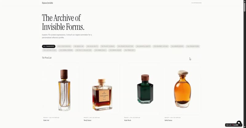 Cover image for Maison Invisible" captivates with its