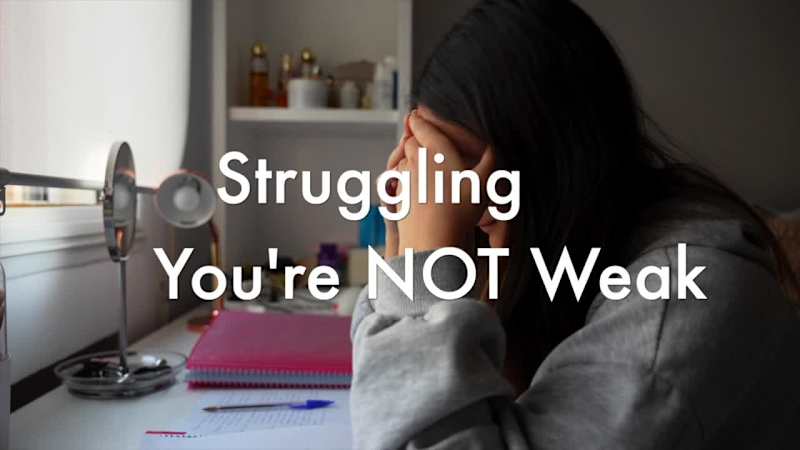 Cover image for The Safety Pin You are not alone If you're in the US call or...