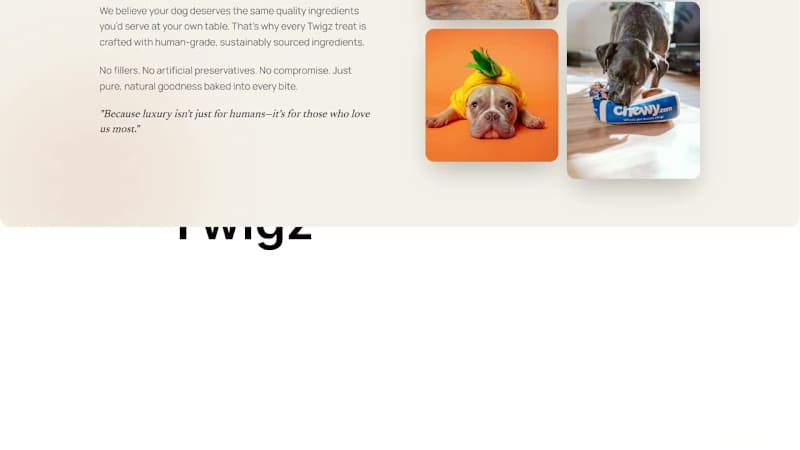 Cover image for Twigz Pet Care Web Design Using Tempo Labs