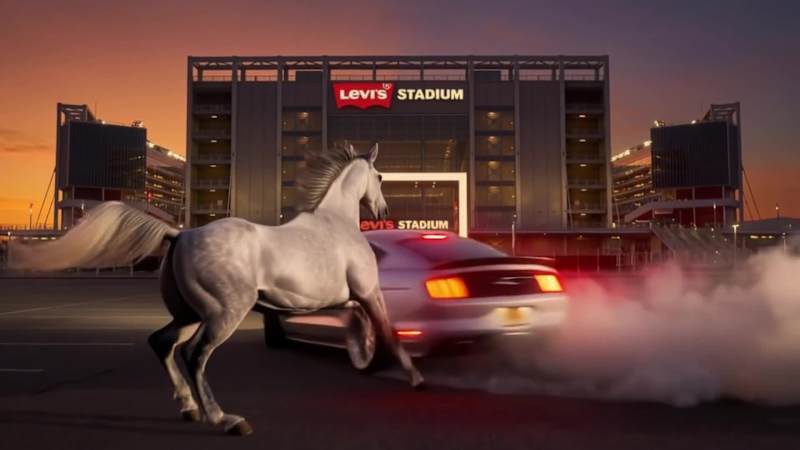 Cover image for To mark 122 years of