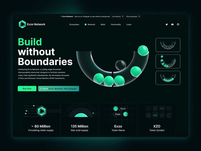 Cover image for Exzo network - Animation Exploration