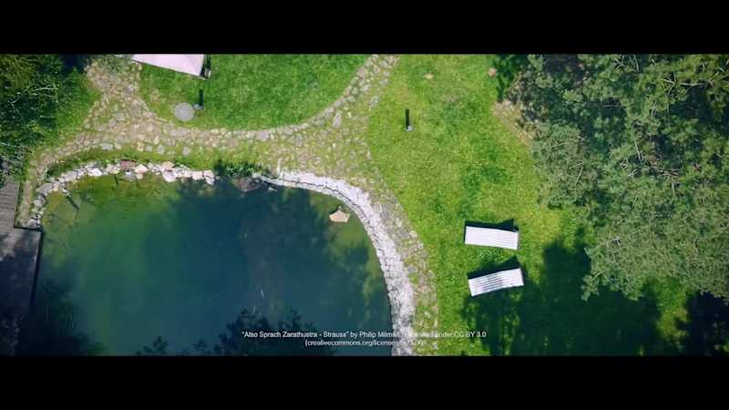 Cover image for Using just stock footage and project video from the client, ...