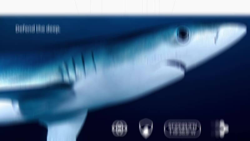 Cover image for Pro2tect (Brand Identity Development)