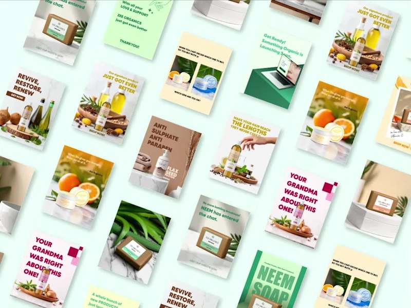Cover image for Instagram Branding for Zee Organics