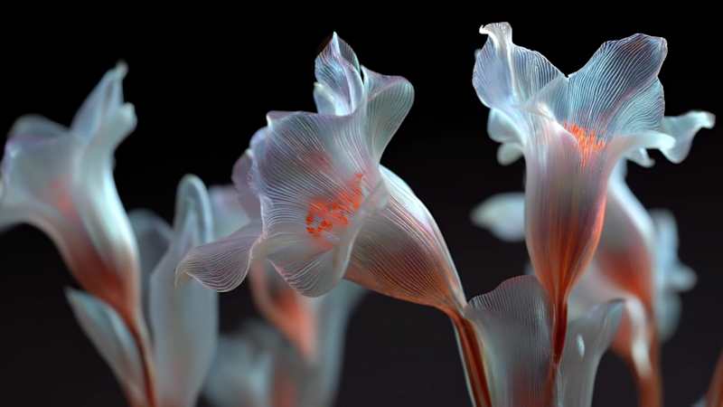 Cover image for FLORA and VEO 3.1 open up an entirely new playground for des...