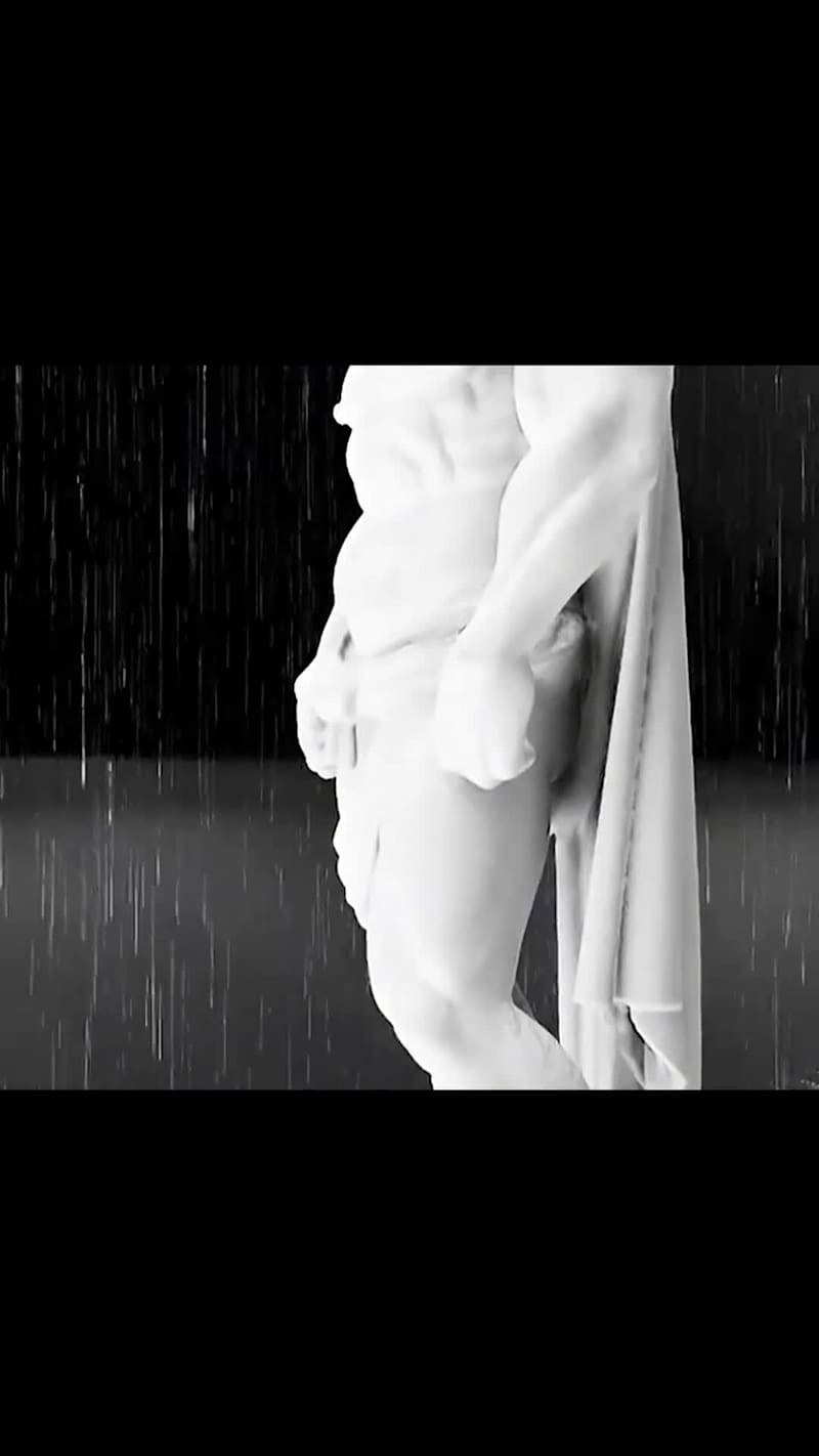 Cover image for 3d showcase