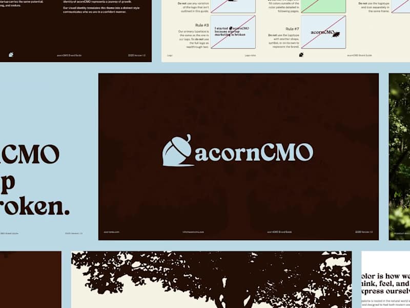 Cover image for From seed to AcornCMO - A Brand Development Project