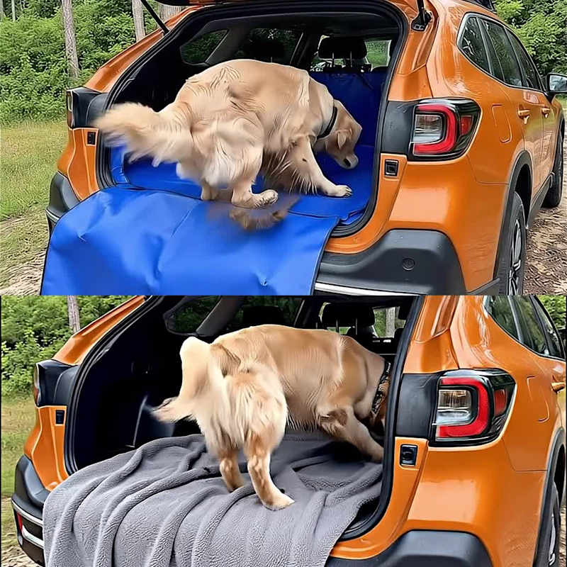 Cover image for Brief backed Spec Ad created