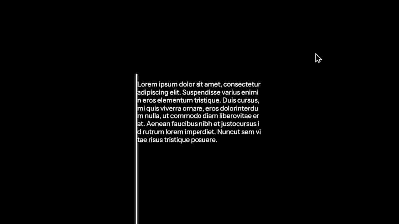 Cover image for Paragraph animation on page load Webflow + custom CSS + cust...