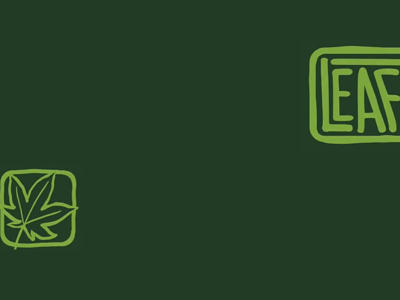 Cover image for LeafLit Rebranding Project